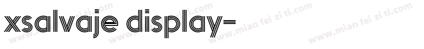 xsalvaje display字体转换